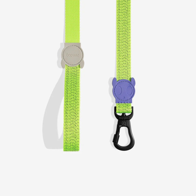 Zee.Dog Reflective Lead for Dogs - NOX Lumen