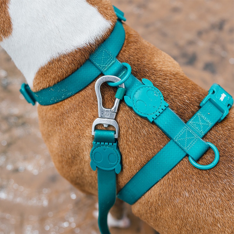 Zee.Dog Neopro Amazonia Dog H-Harness
