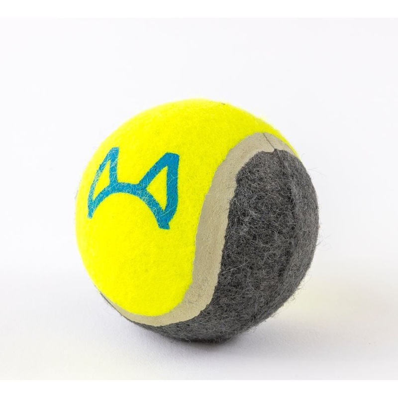 Attachment Theory Tennis Ball Toy for Dogs