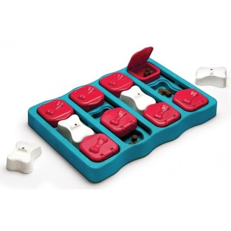 Outward Hound Nina Ottosson Brick Puzzle Game for Dogs