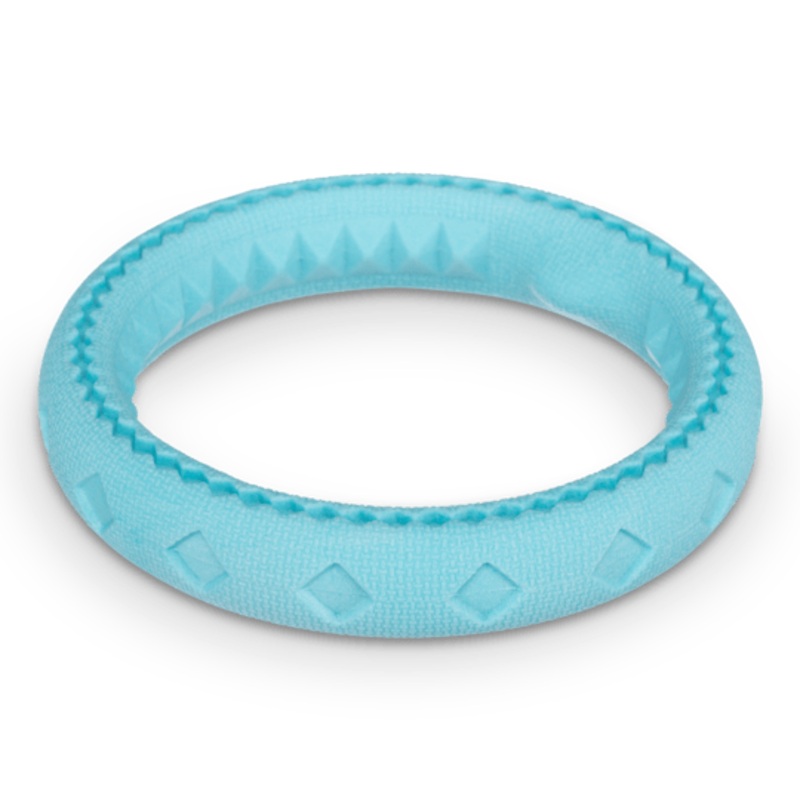 Totally Pooched Chew and Tug Ring Teal Toy for Dogs