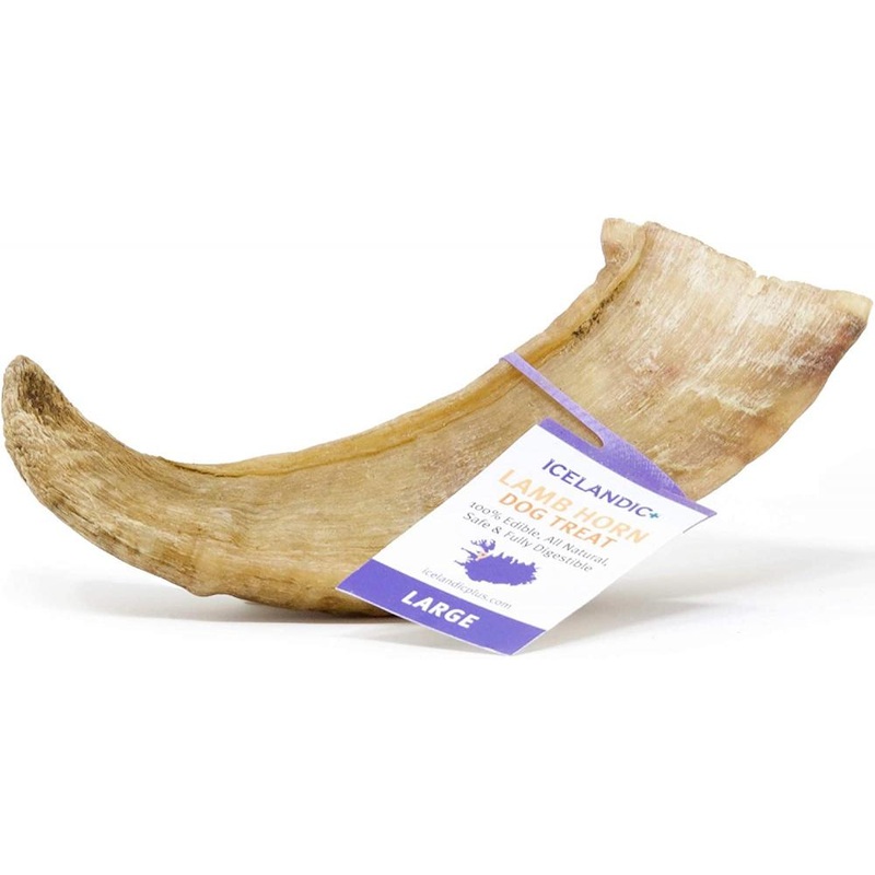 Icelandic+ Large Lamb Horn Dog Treat