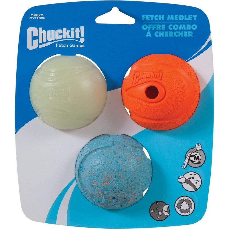 Chuckit! Fetch Medley Dog Toy
