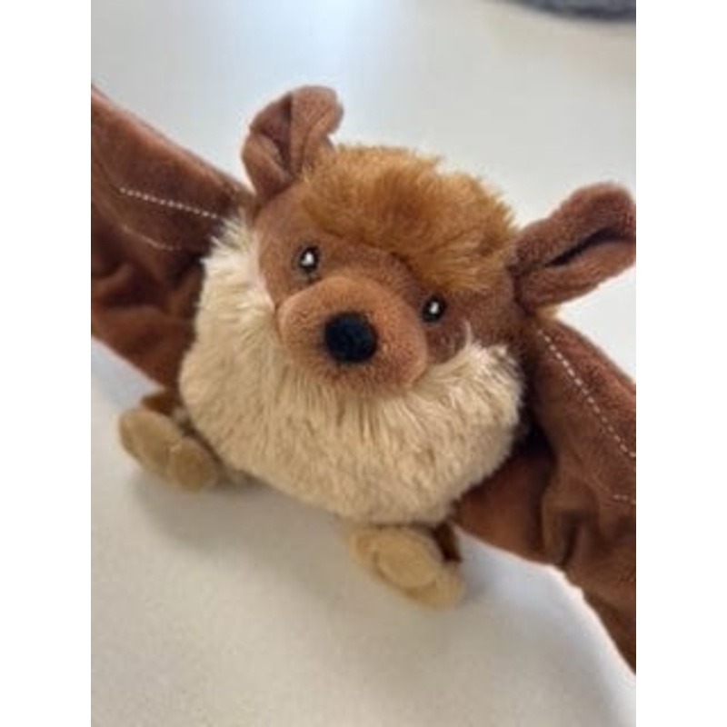 Lightning Dog Wing Dingers Fruit Bat Plush Dog Toy