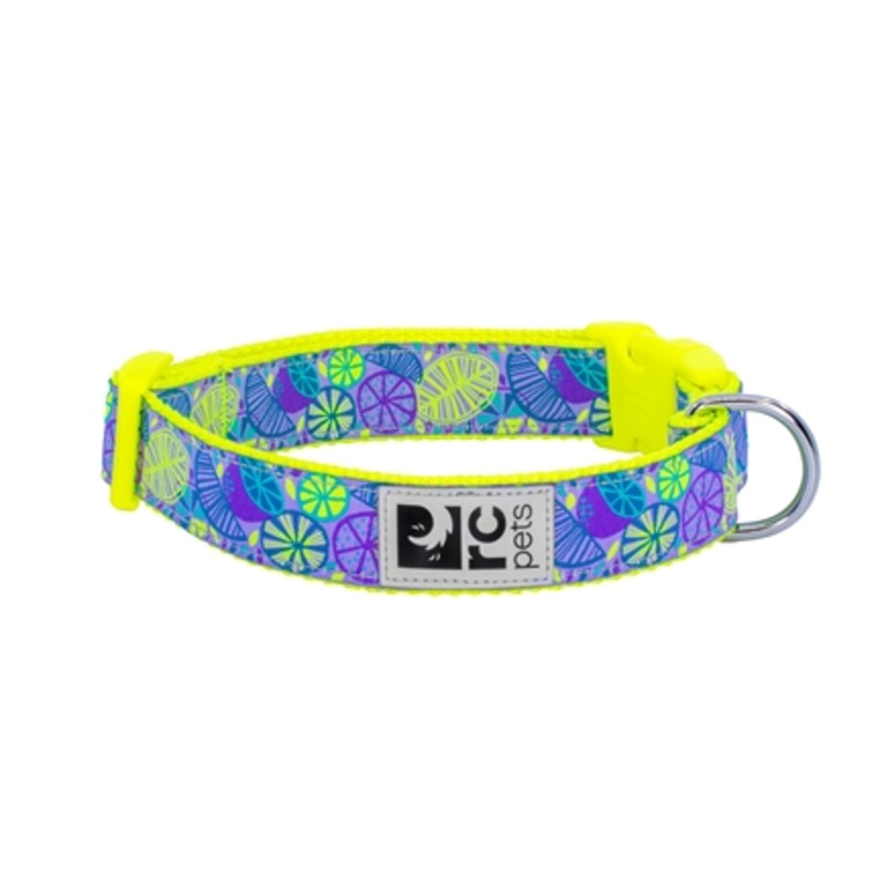 RC Pets - Clip Collar - Citrus