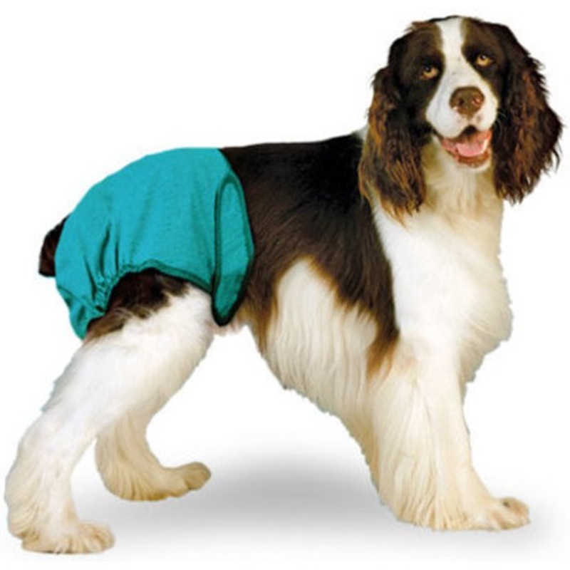 Simple Solution - Washable Diaper
