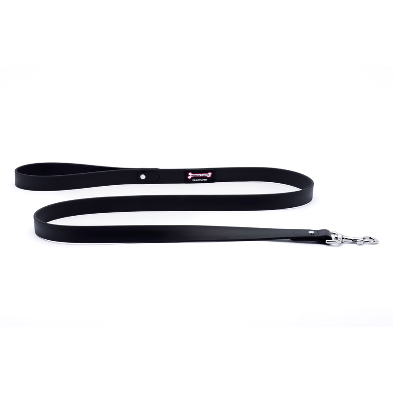 Smoochy Poochy -  1" Polyvinyl Waterproof Leash