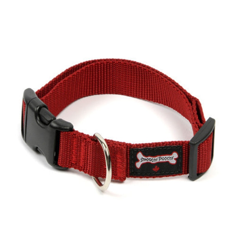 Smoochy Poochy - Nylon XS Collar