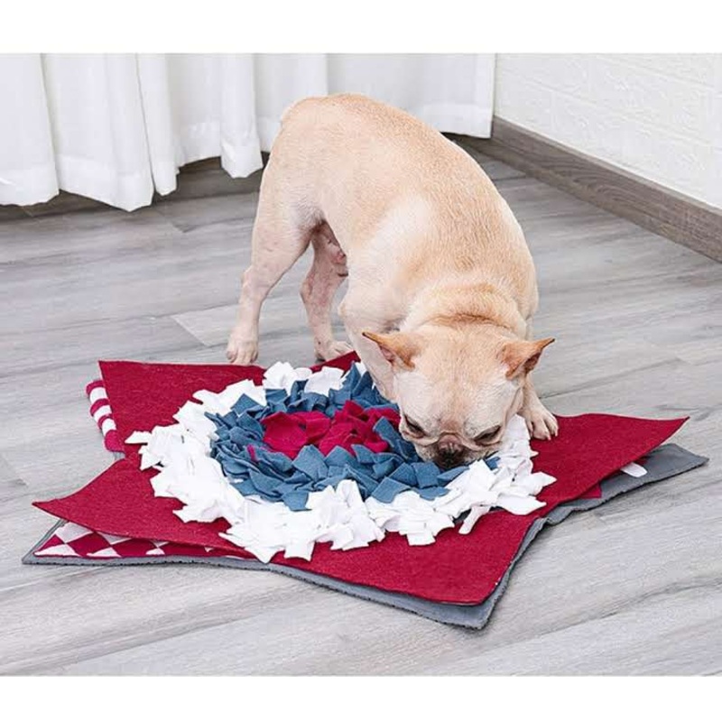 Star Snuffle Mat - Level 3