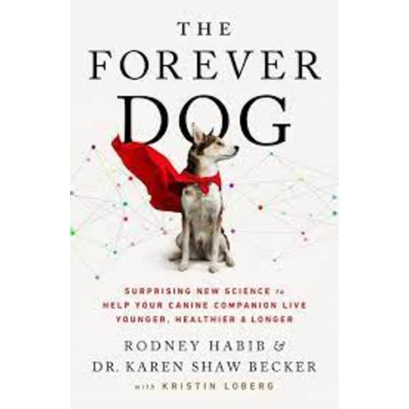 The Forever Dog