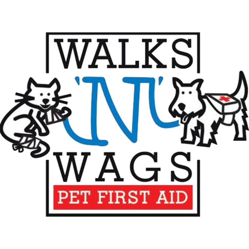 Pet First Aid Certification
