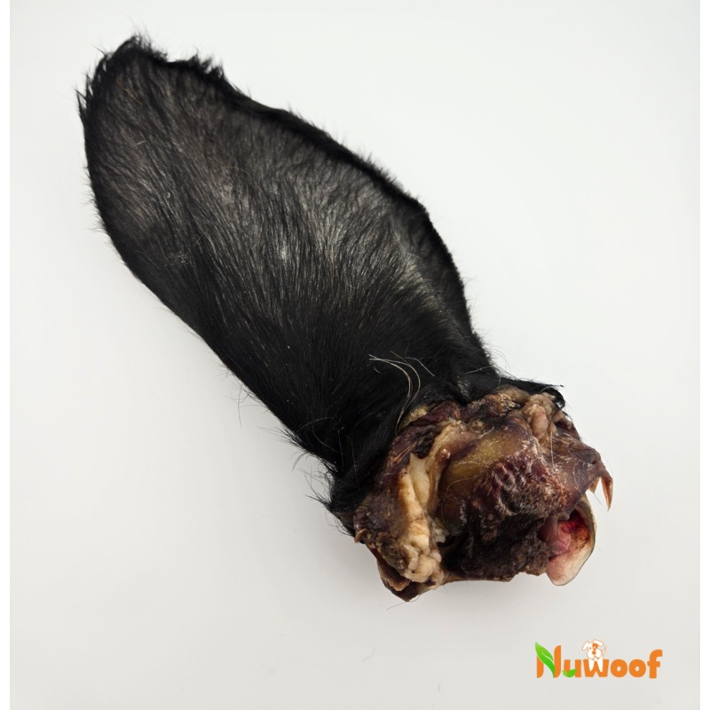 NuWoof - Frozen Fuzzy Cow Ear - 1 Pack