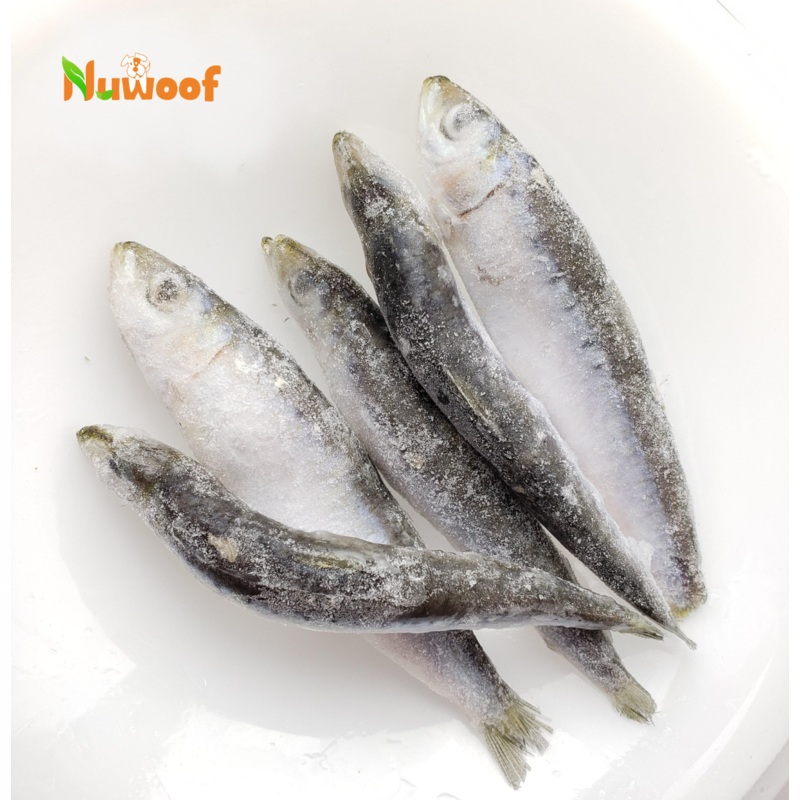 NuWoof - Frozen Sardines