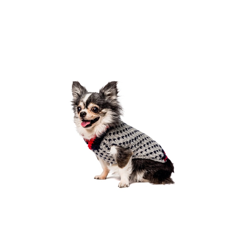 Chilly Dog - Birdseye Wool Dog Sweater