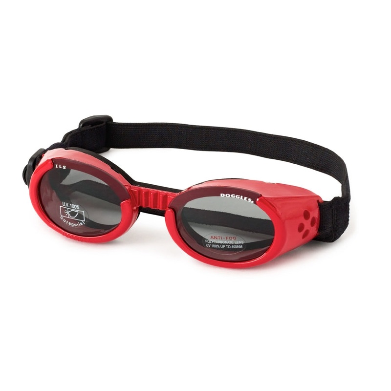 Doggles ILS