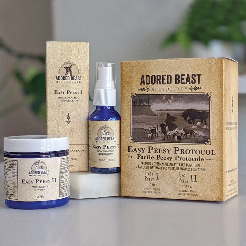 ADORED BEAST - EASY PEESY PROTOCOL