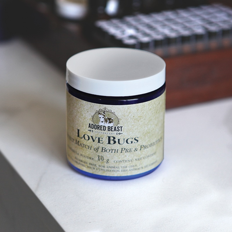 ADORED BEAST - LOVE BUGS