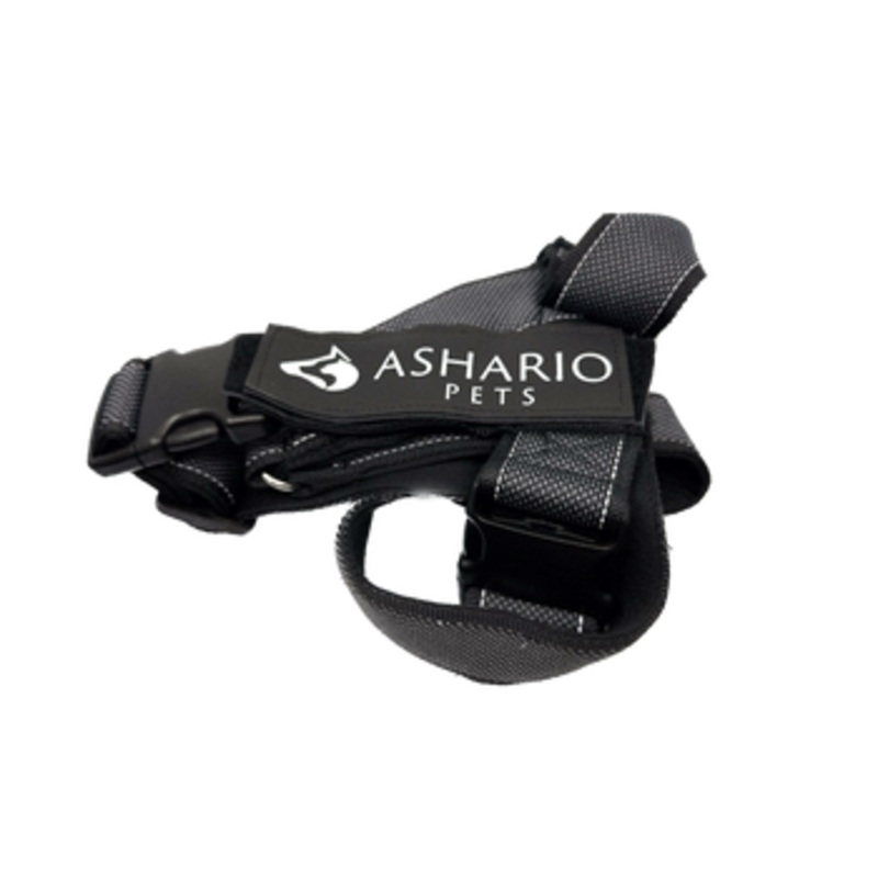Ashario Pets - "BreezyVest" Summer Lightweight Reflective Harness - L