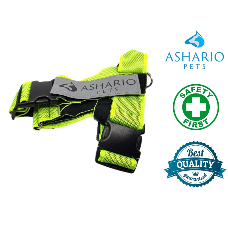 Ashario Pets - "BreezyVest" Summer Lightweight Reflective Harness- M
