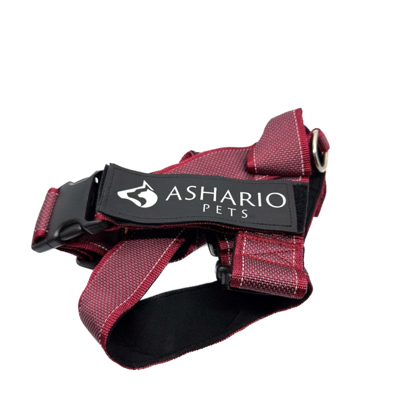 Ashario Pets - "BreezyVest" Summer Lightweight Reflective Harness - XL