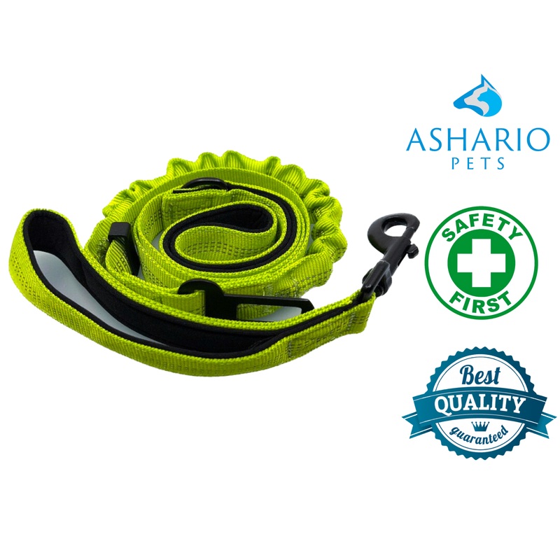 Ashario Pets - "SafeRide Pro"  Retractable Car Traction Belt - Green