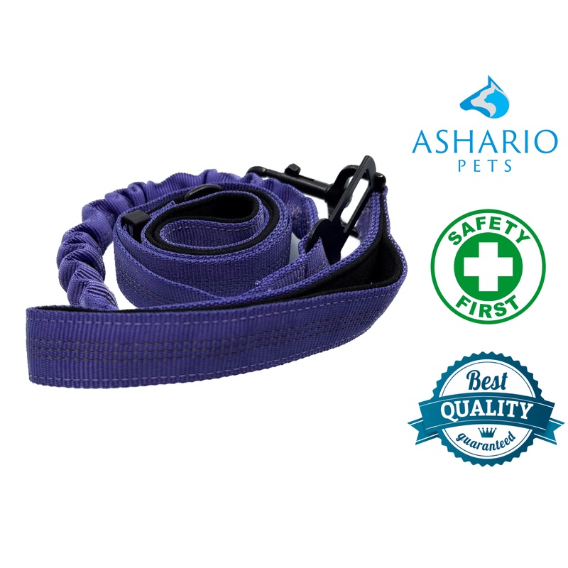 Ashario Pets - "SafeRide Pro" Retractable Car Traction Belt - Purple