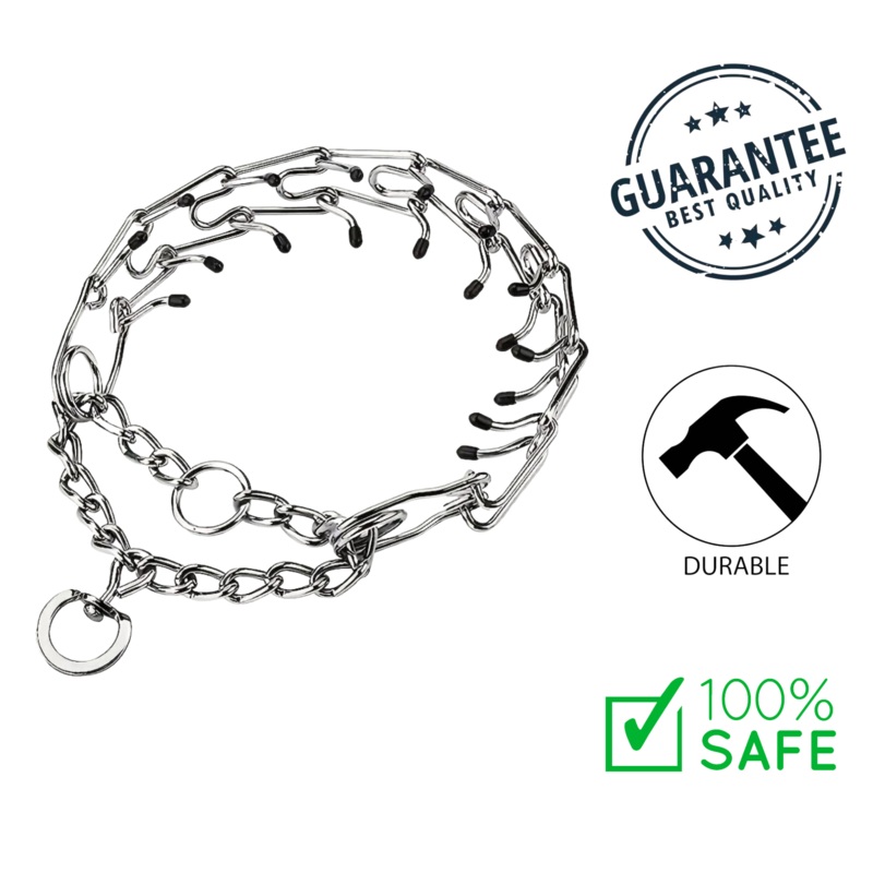 Ashario Pets - Stainless Steel Prong Training Collar