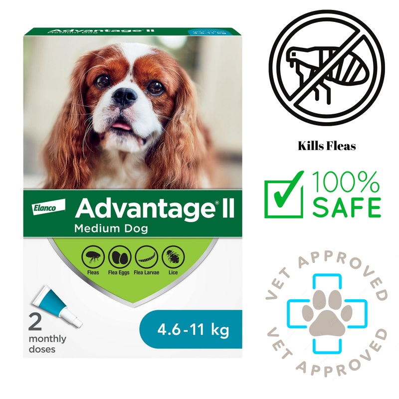 Advantage II - Flea & Tick Medicine - Dogs 4.6_11kg