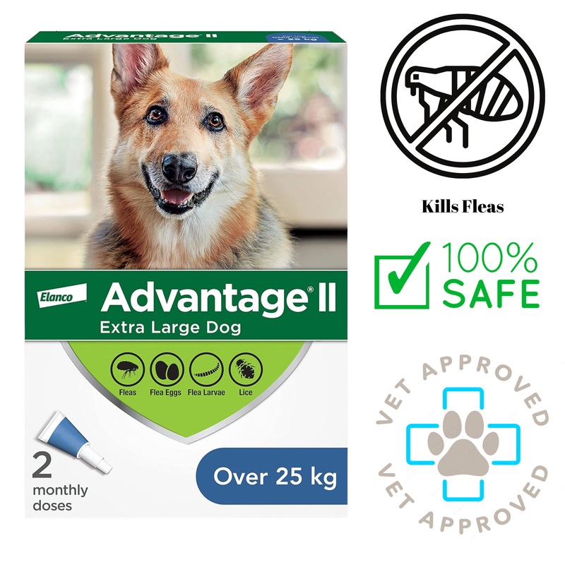 Advantage II - Flea & Tick Medicine - Extra Large Dogs >25kg