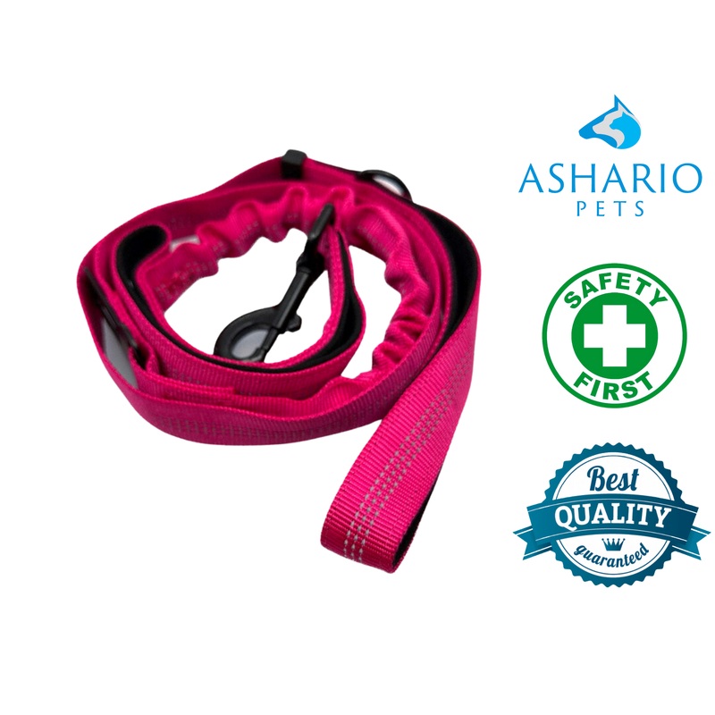 Ashario Pets - "SafeRide Pro"  Retractable Car Traction Belt - Red
