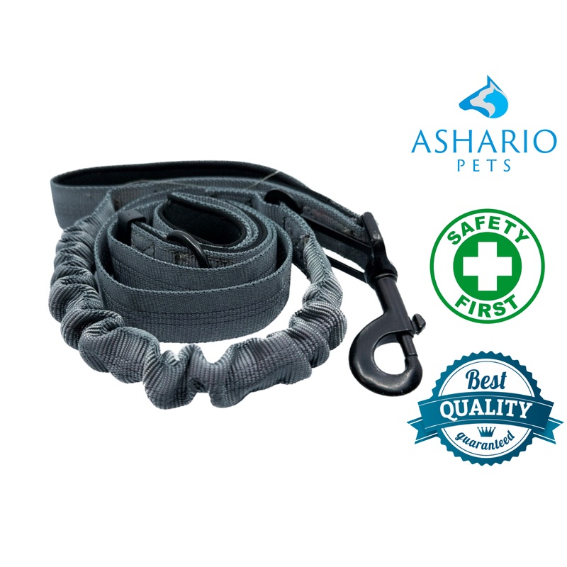 Ashario Pets - "SafeRide Pro" Retractable Safety Car Traction Belt