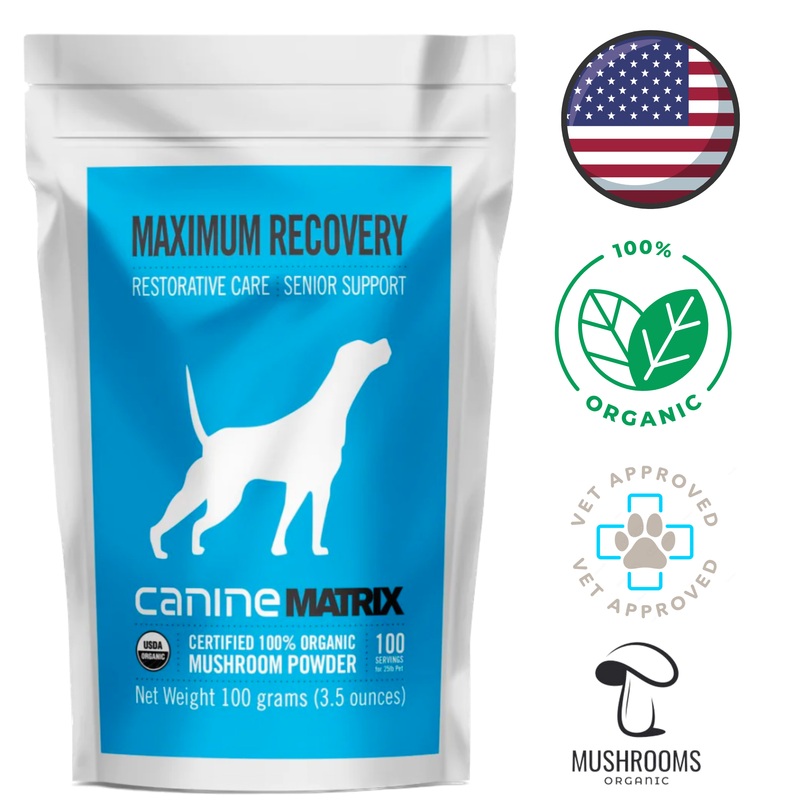 Canine Matrix - Maximum Recovery Mushroom Powder Dog & Cat - 100 Grams
