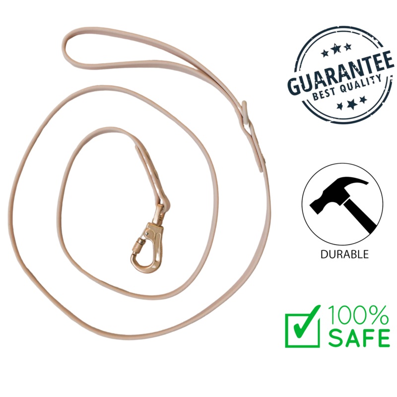 Dexypaws - Waterproof Dog Leash - Nude