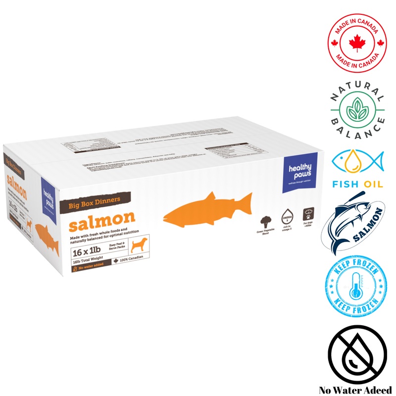 Healthy Paws - Big Box Dinner Salmon - 1 lb