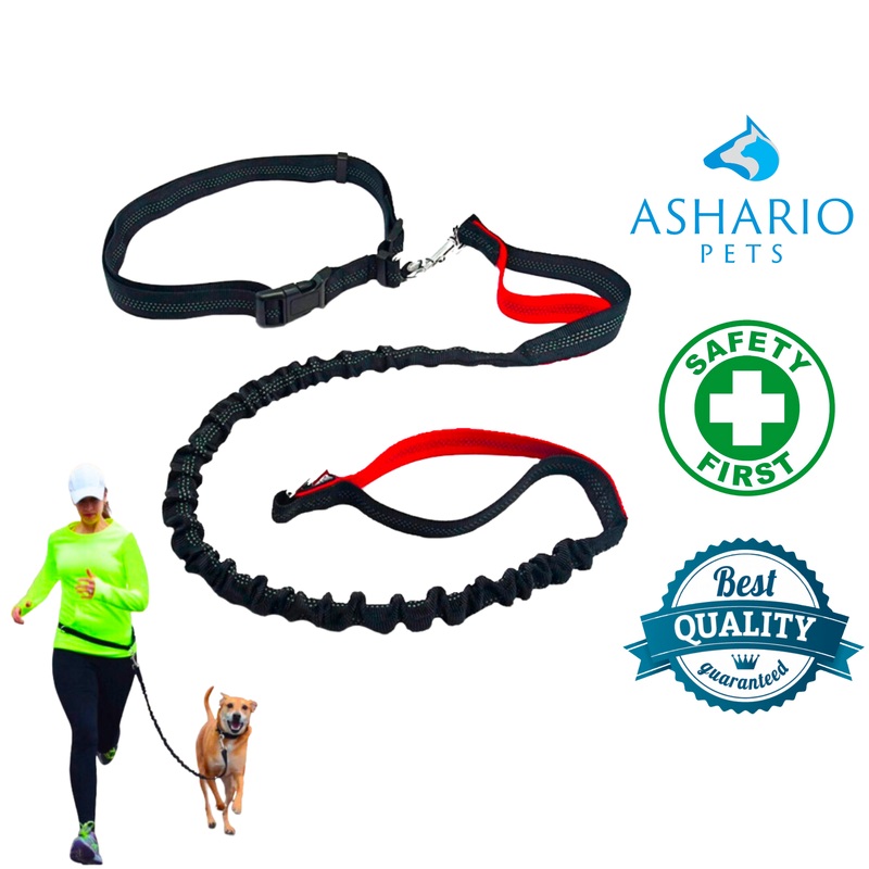 Ashario Pets - "FlexiRun" Reflective Elastic Pet Running Leash