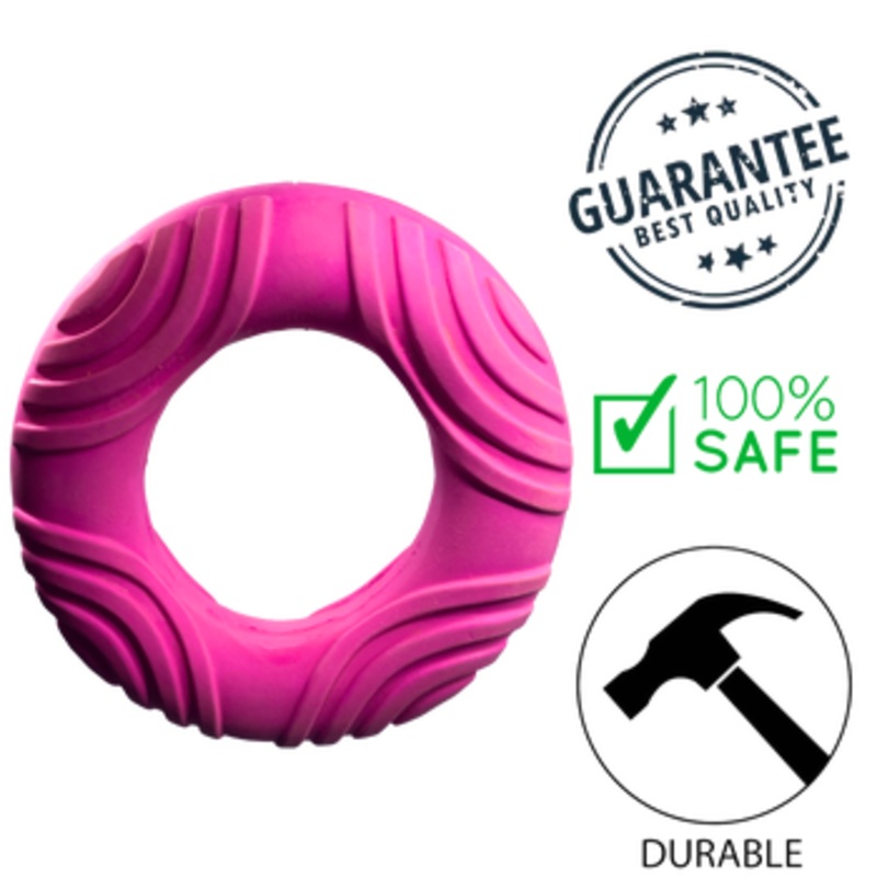 BuD'z - Purple Latex Ring - Squeaker Dog