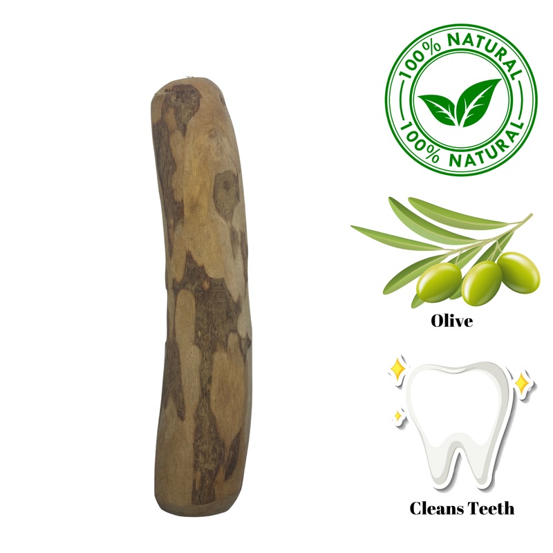 Zaytoon - Olive Wood Dog Chew - Large