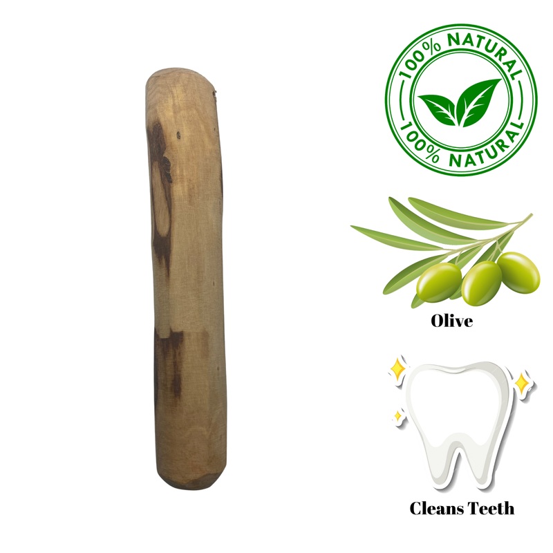 Zaytoon - Olive Wood Dog Chew - Medium