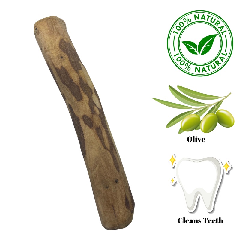 Zaytoon - Olive Wood Dog Chew - X-Large