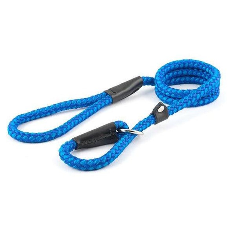 Ancol Nylon Rope Dog Slip Lead