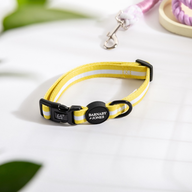 Barnaby & Jones The Colour Edit Yellow Striped Dog Collar