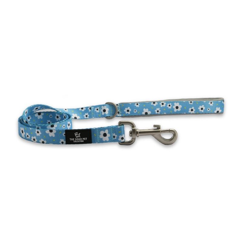 Ancol Soho Nylon Lead 100cm x 19mm - Daisy
