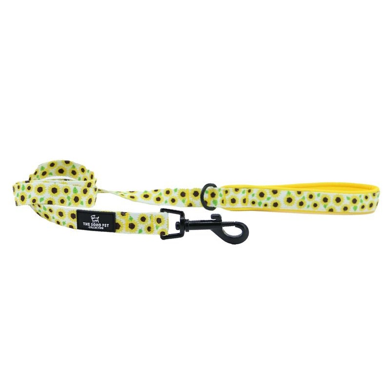 Ancol Soho Nylon Lead 100cm x 19mm - Sunflowers