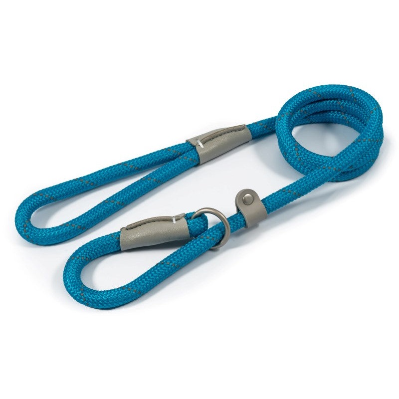 Ancol Viva Dog Slip Lead 1.2m x 12mm