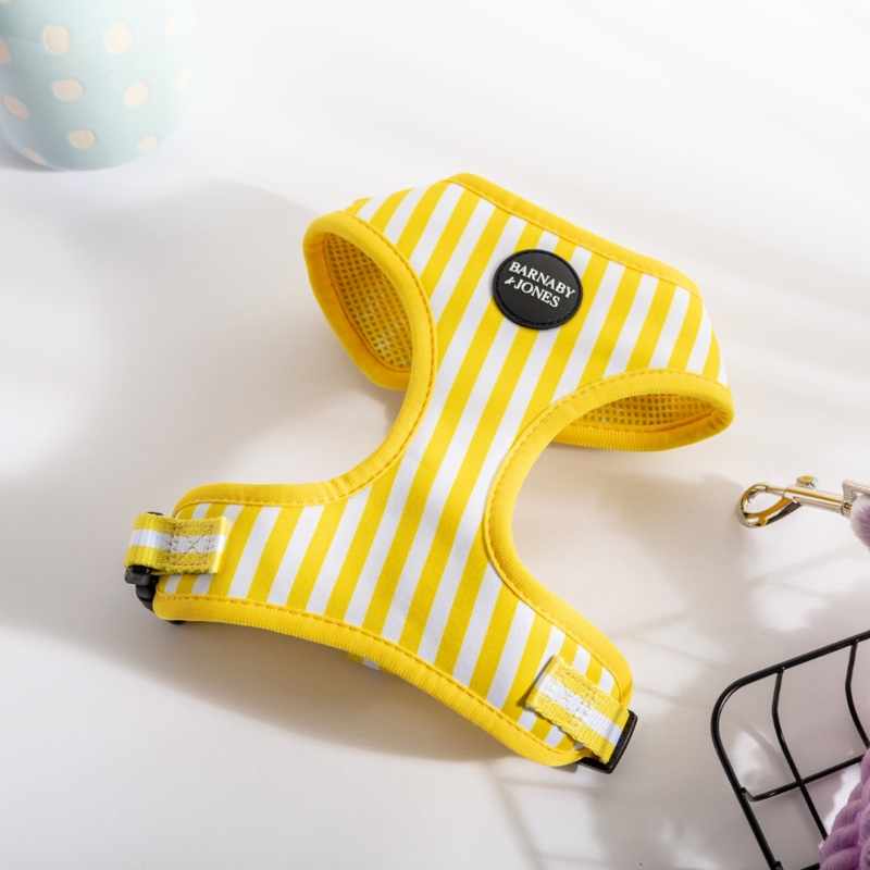 Barnaby & Jones The Colour Edit Yellow Striped Dog Harness