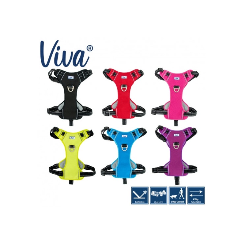 Ancol VIVA Exercise & Travel Dog Harness