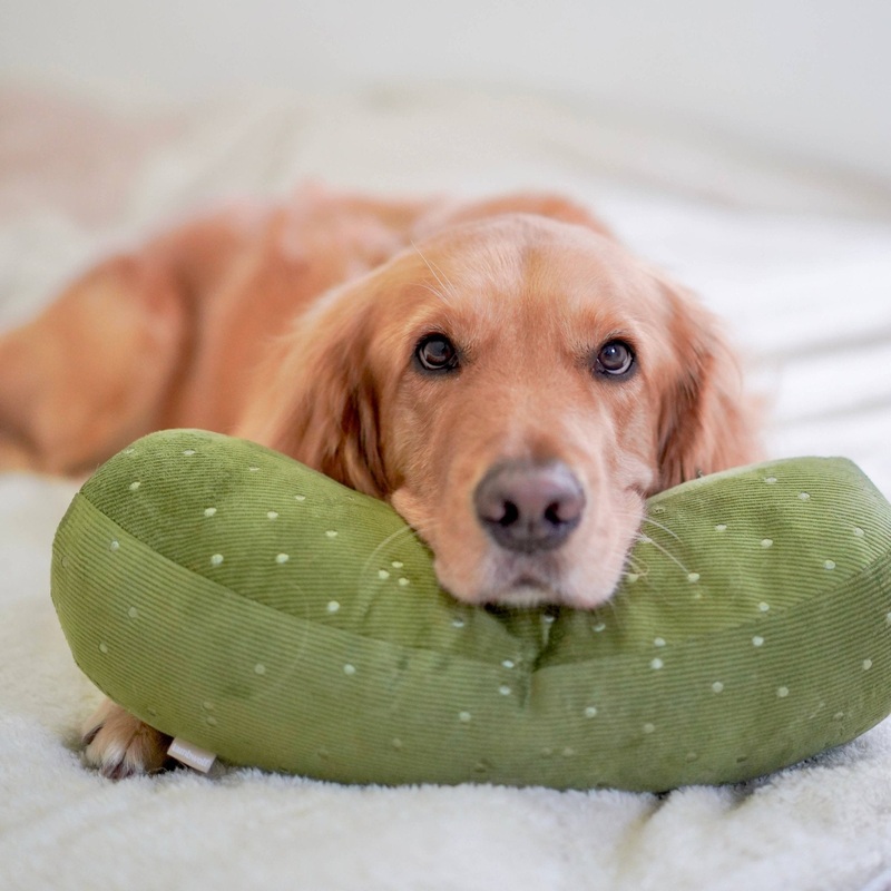 GIANT PICKLE//ENRICHMENT DOG TOY