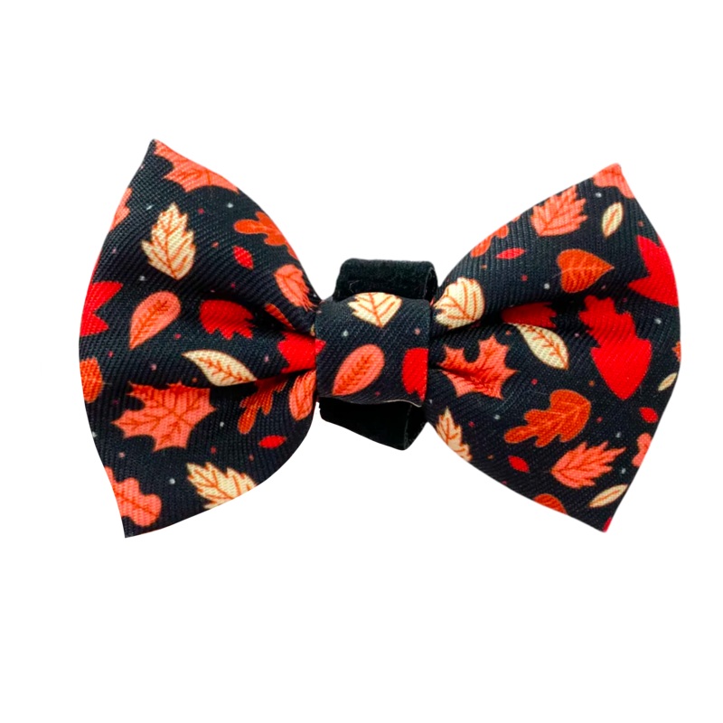 Pawsome Paws Boutique Autumn Aroma Bow Tie