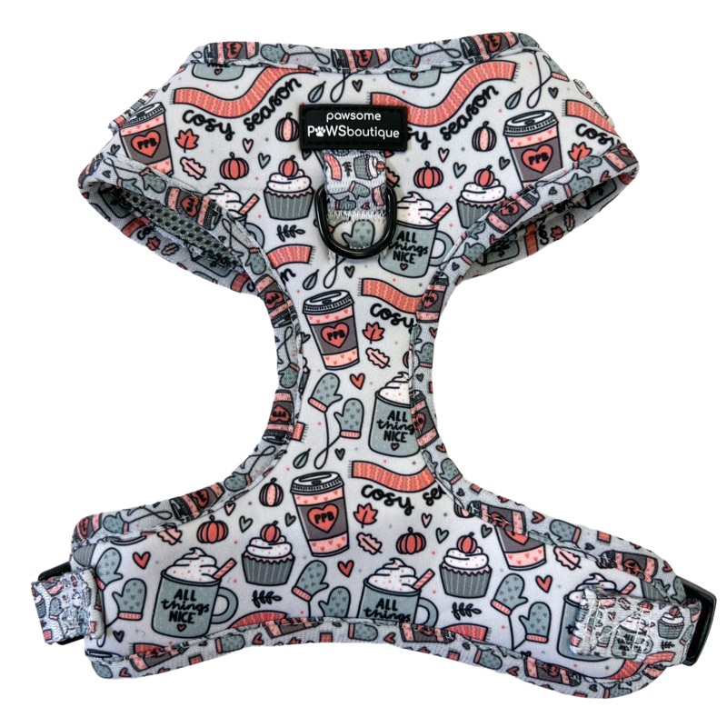 Pawsome Paws Boutique Pumpkin Spice + All Things Nice D-Ring Adjustable Harness - Mint
