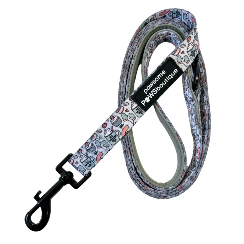 Pawsome Paws Boutique Pumpkin Spice + All Things Nice Dog Lead - Mint